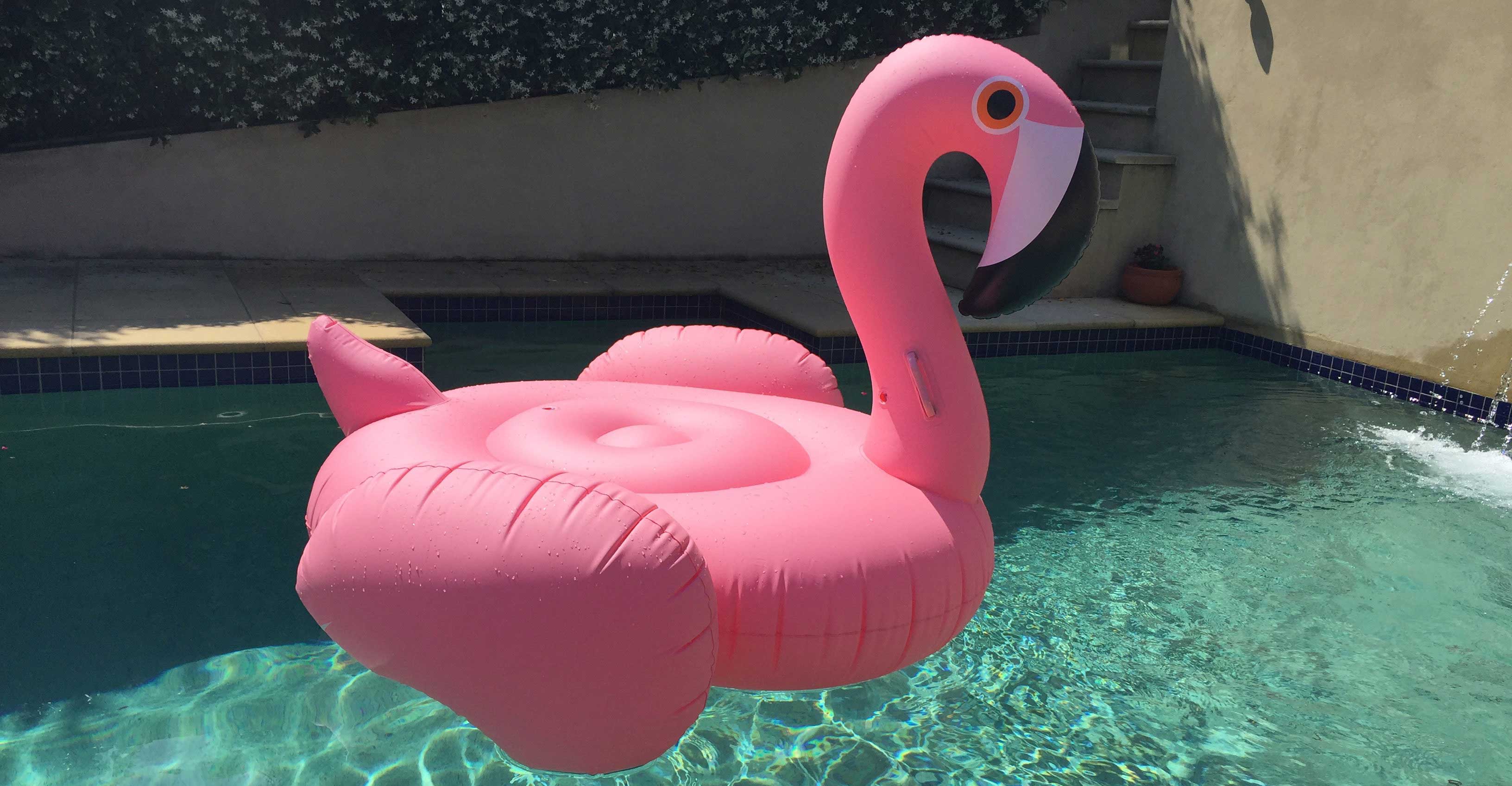 Pink Junk Flamingo in pool